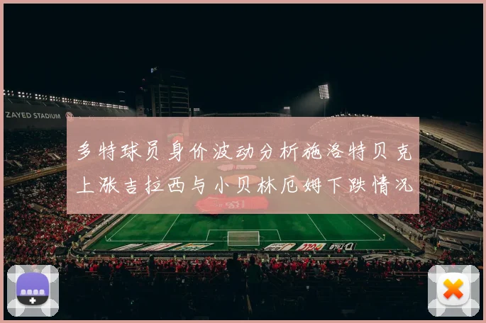 多特球员身价波动分析施洛特贝克上涨吉拉西与小贝林厄姆下跌情况解读